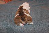 IMG 0892